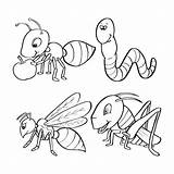 Insect Ant Bug Insects Grasshopper Easypeasyandfun Peasy Kindergarten  sketch template