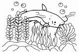20  Catfish Coloring Pages Free Printable PDF & Online sketch template