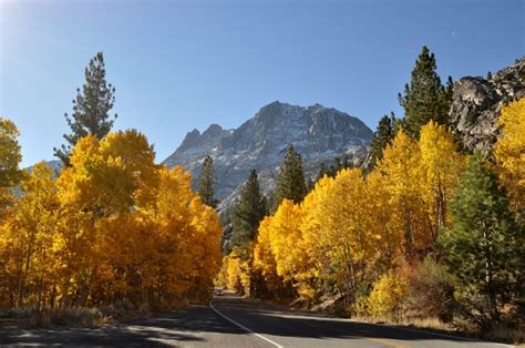 June Lake Loop California - Fall Colors - Photorator