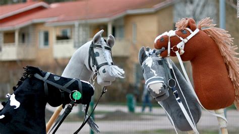 Finnish Hobby Horse Championship 2024 - Liuka Prissie