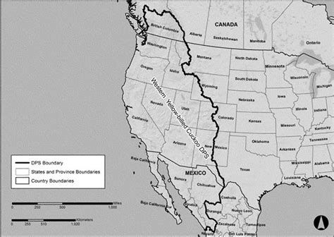 Western Yellow-billed Cuckoo (U.S. National Park Service)