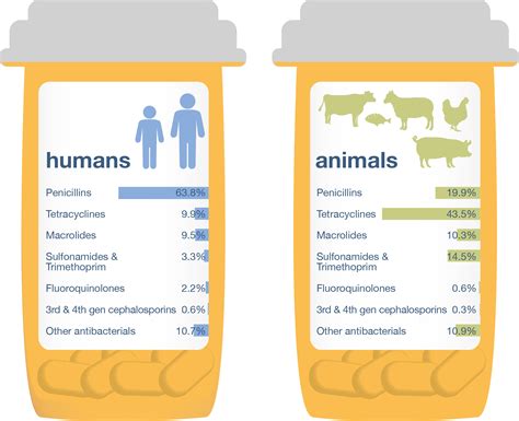 Download One Health Report, 2015 Using 2013 Data - Antibiotics Used PNG Image with No Background ...