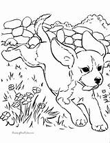 Free Printable Dog Coloring Pages  Home sketch template