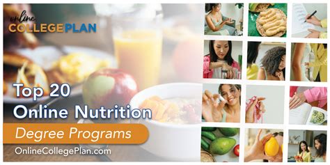 Top 20 Online Nutrition Degree Programs