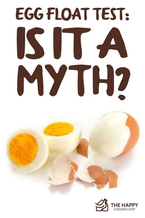 Egg Float Test: Is it a Myth? - The Happy Chicken Coop