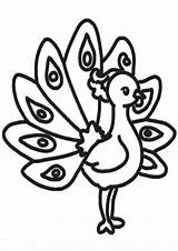 Free & Easy To Print Peacock Coloring Pages  Tulamama sketch template