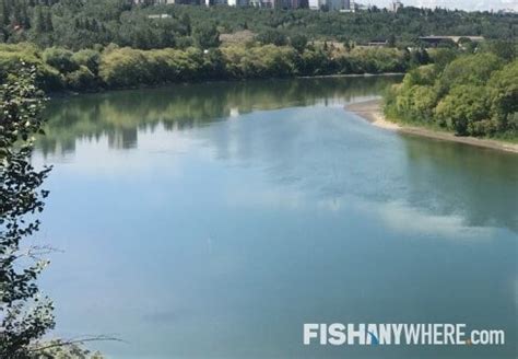 North Saskatchewan River Fishing Charters & Guides | FishAnywhere