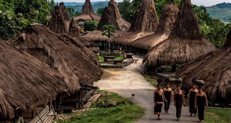 Traditional Villages & Textile Culture (5D/4N) 🐎 Explore Sumba