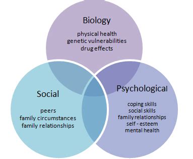 Biopsychosocial Perspective: AP® Psychology Crash Course Review | Albert.io