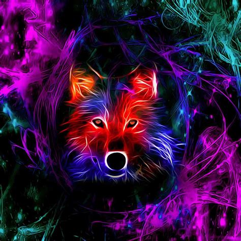 Neon Animal Wallpapers - 4k, HD Neon Animal Backgrounds on WallpaperBat