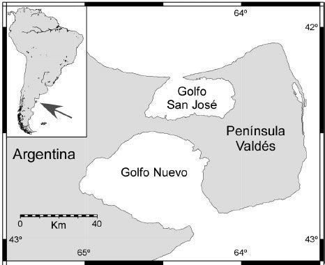 Map of Península Valdés, Argentina showing the two gulfs where samples ...