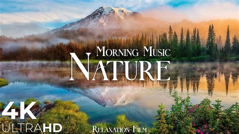 Morning Relaxing Music - Nature Relaxation Film 4K - Peaceful Relaxing ...