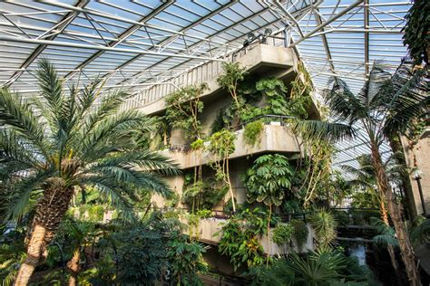 Barbican Conservatory | A Brutalist Oasis In The Middle of The City