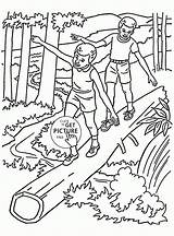 Forest Coloring Pages Printable sketch template