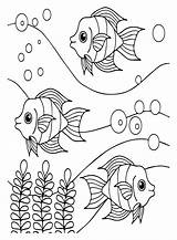Freshwater Angelfish Coloring Page  Free Printable Pages sketch template
