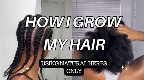 How to grow your natural hair using Indian herbs in 2024? #longhair # ...