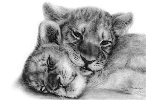 Lion Cubs Painting by Danguole Serstinskaja - Pixels