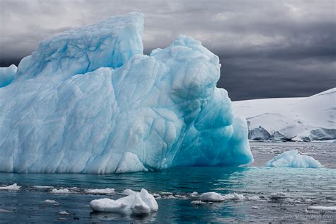 Blue Iceberg, Cierva Cove, Antarctica by William Neill | Susan Spiritus Gallery