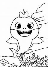 Cute Baby Shark Coloring Page  Free Printable Pages sketch template