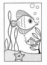 Under The Sea Coloring Pages Free Printable Ocean Animals sketch template