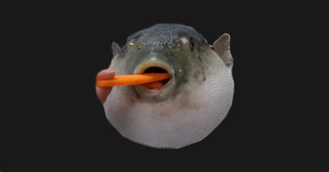 Pufferfish Eating Carrot Dank Meme - Pufferfish Eating Carrot - T-Shirt ...