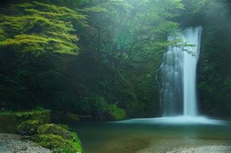 Images Japan Shiraito Falls Fujinomiya Nature Waterfalls forest