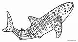 Printable Whale Coloring Pages For Kids  Cool2bKids sketch template