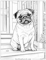 36 Super Cute Pug Coloring Pages Free Printables  Our Mindful Life sketch template