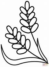 Wheat coloring Page  Free Printable Coloring Pages sketch template