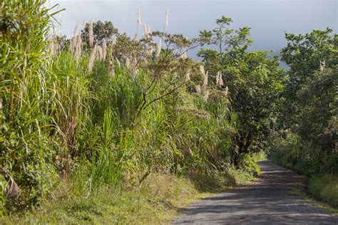 Hiking in Arenal Volcano National Park - Explore the World with Simon Sulyma