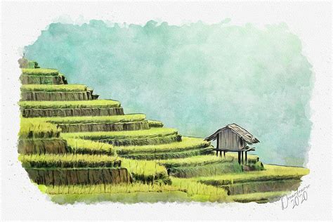 Rice Terraces in Thailand Painting by Dreamframer Art | Pixels