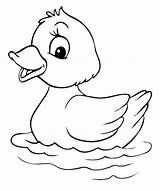 Baby Duck Animal Coloring Page  Free Printable Pages sketch template