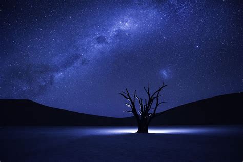 Night, Stars, Nature, Tree, Calm wallpaper | nature and landscape ...