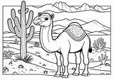 Desert Mountain Coloring Pages sketch template