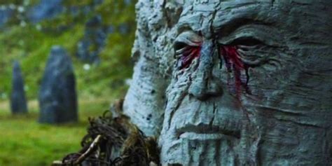 Game Of Thrones' Bleeding Tree Actually Exists | Screen Rant