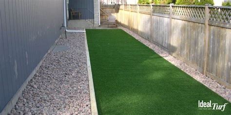 Dog Run Ideas: Definitive Guide To Backyard Dog Potty Areas