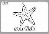 Starfish Coloring Page  Ezpzlearncom sketch template