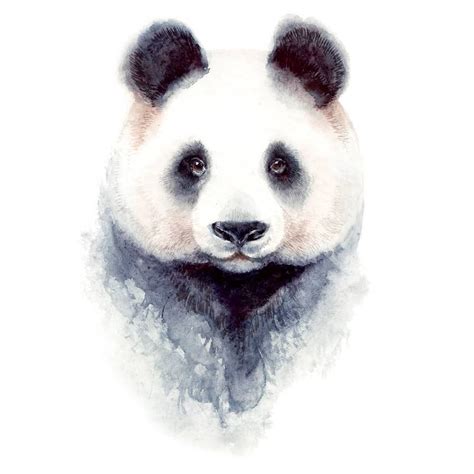 Watercolor panda by na_do_krasivo • #wwf_illustrators #panda # ...