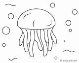 Jellyfish Quallen Qualle Medusas Meduse Dibujo Kwallen Malvorlage  sketch template