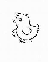 Chicken Chook Coloring Pages sketch template