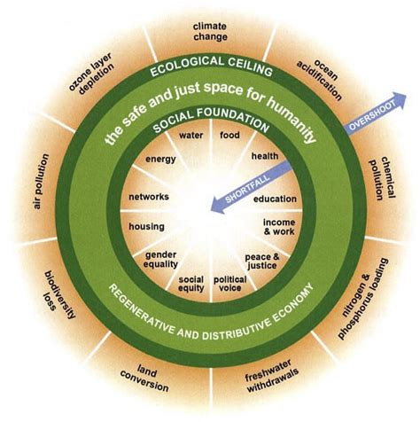 Doughnut Economics (Featured Book) - The Human Journey