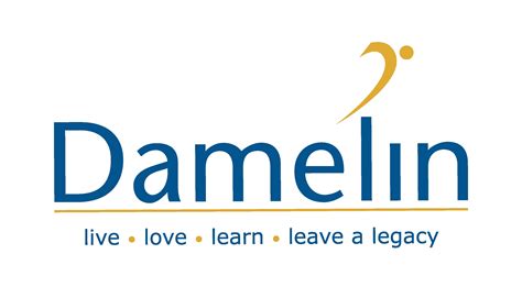 Damelin Online Courses South Africa « How To Make Money from Home in ...