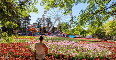 Canberra Floriade Flower Festival Day Tour from Sydney - Klook Australia