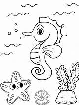 Seahorse Coloring Pages Bring Majestic Sea Creatures To Life 🌊🐴  sketch template