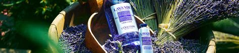 Lavender Ingredient | Natural Ingredients | L'Occitane MY