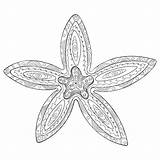 Premium Vector  Sea star coloring Page Outline Illustration Zentangle sketch template