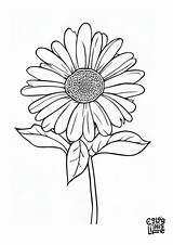 Simple Coloring Pages Free Printable  Color This Life sketch template