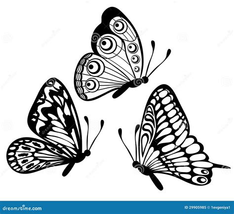 Set Of Black And White Butterfly Stock Vector - Illustration: 29905985