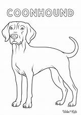 Coonhound Coloring Pages 2025 sketch template