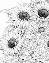 Printable Sunflower Coloring Pages For Kids Cool sketch template